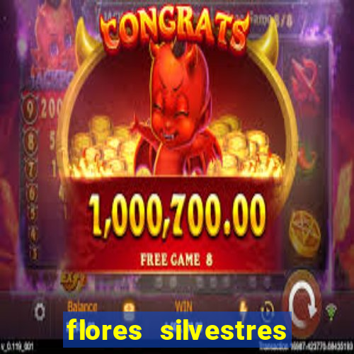 flores silvestres desbravadores desbravadores 25